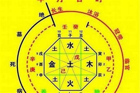 八字看喜用神|八字入门基础 第六篇 如何判断八字喜用神